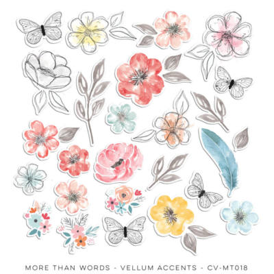 CV-More Than Words Vellum Accents